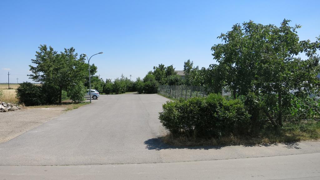 Pension Lang Sankt Andra am Zicksee ภายนอก รูปภาพ