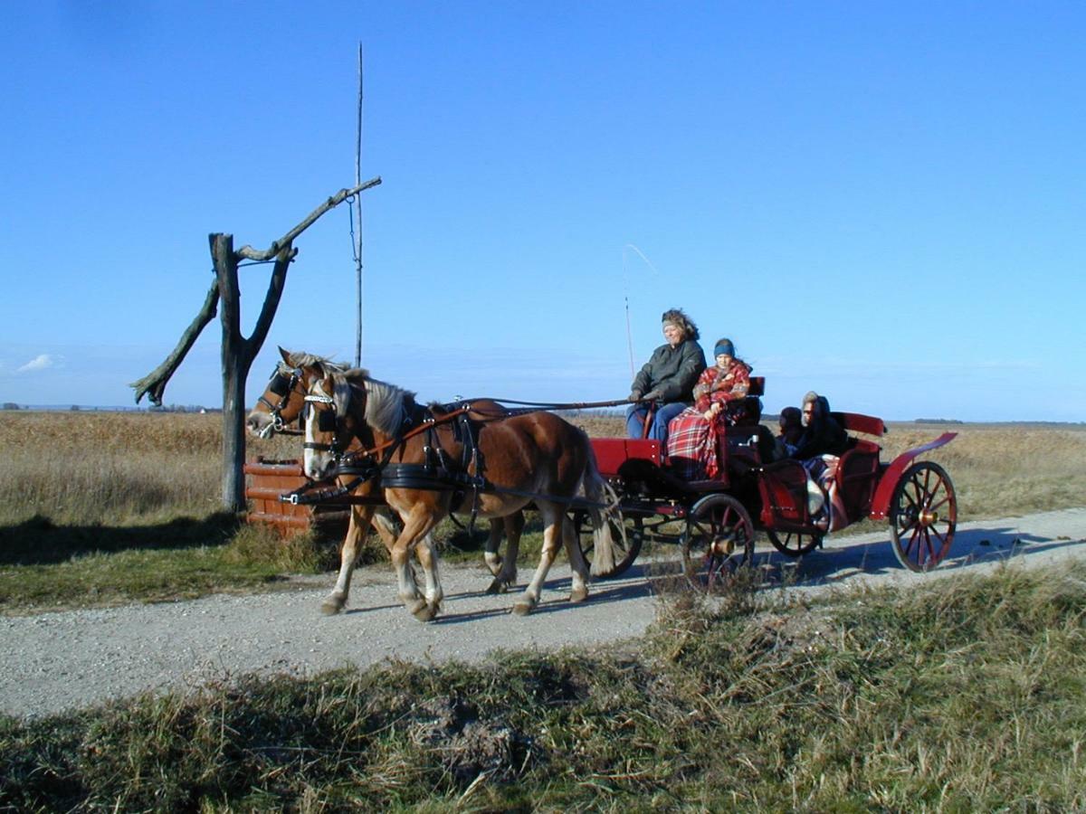 Pension Lang Sankt Andra am Zicksee ภายนอก รูปภาพ